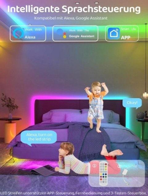 Taśma LED RGBIC STEROWANA Wi-Fi Bluetooth 5m 24W 12V DC